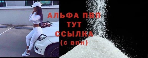 стаф Бородино