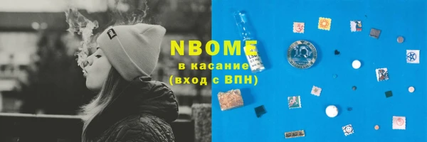 стаф Бородино
