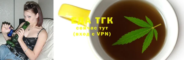 стаф Бородино