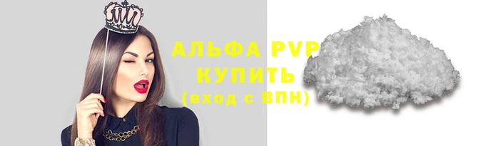 стаф Бородино