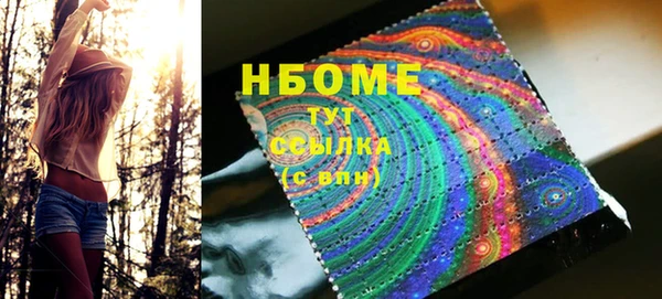 стаф Бородино