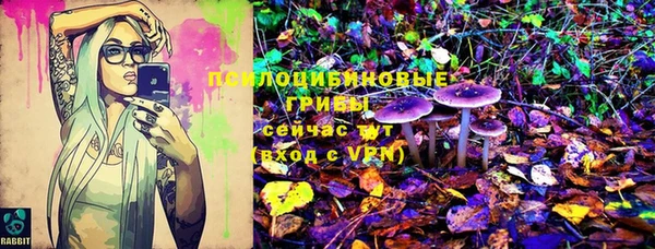 стаф Бородино
