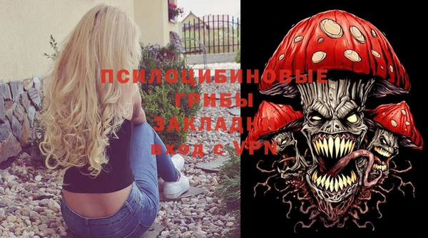 стаф Бородино
