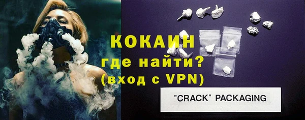 стаф Бородино