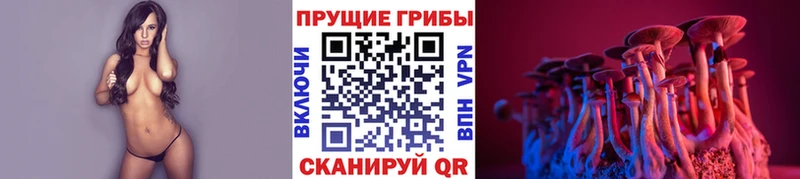 Псилоцибиновые грибы прущие грибы  Купить закладки  Котлас 